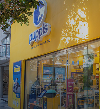 0_Portada_Puppis