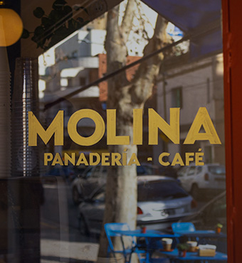 0_Portada_Molina