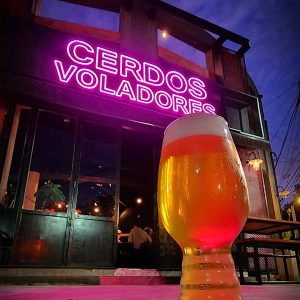 Cerdos Voladores